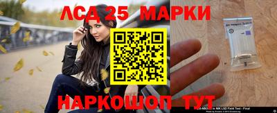 дмт Славгород