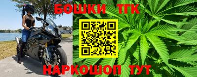 дмт Славгород