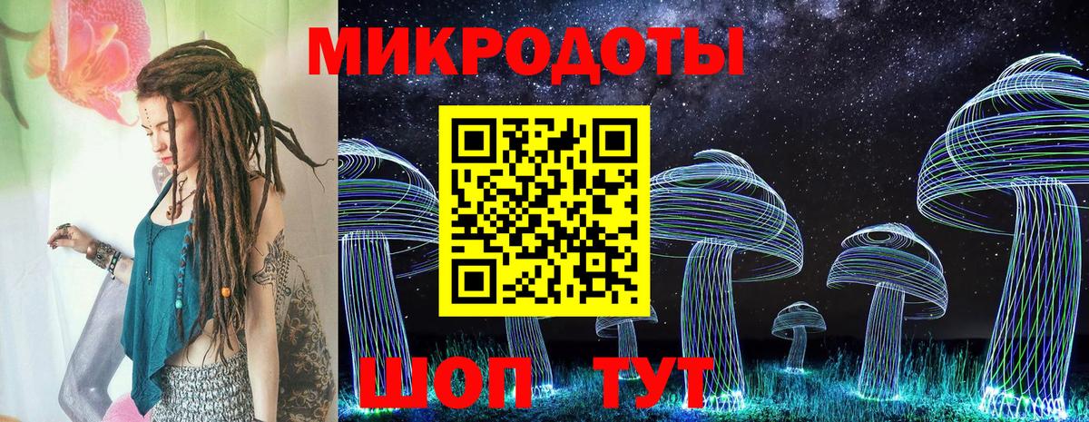 Псилоцибиновые грибы Psilocybine cubensis Сатка