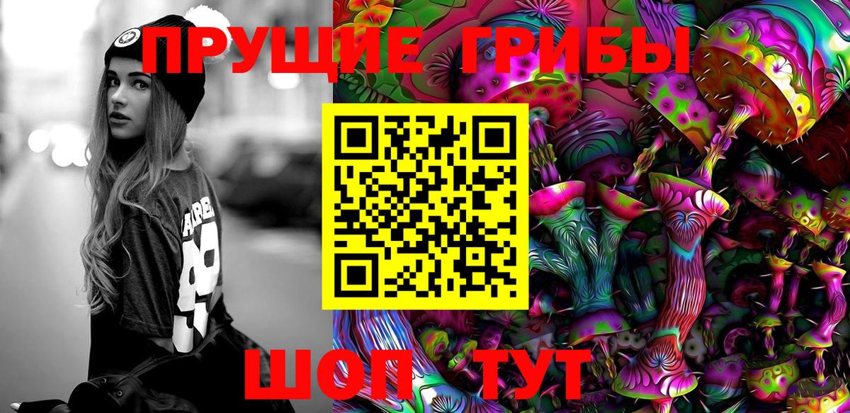 Псилоцибиновые грибы прущие грибы  Вход с VPN  Сатка 